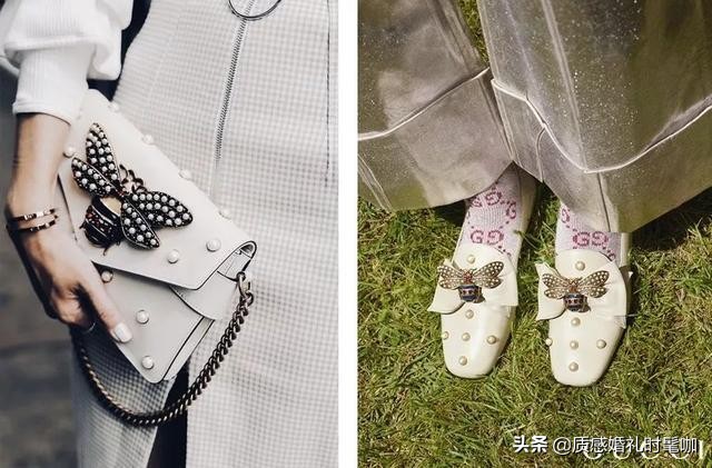 蝗虫算是物种入侵吗,蝗虫是圣甲虫吗