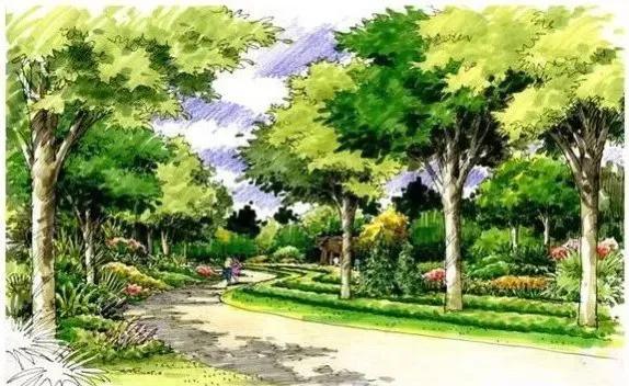 笑谈种树的艺术——看园林专业的魅力