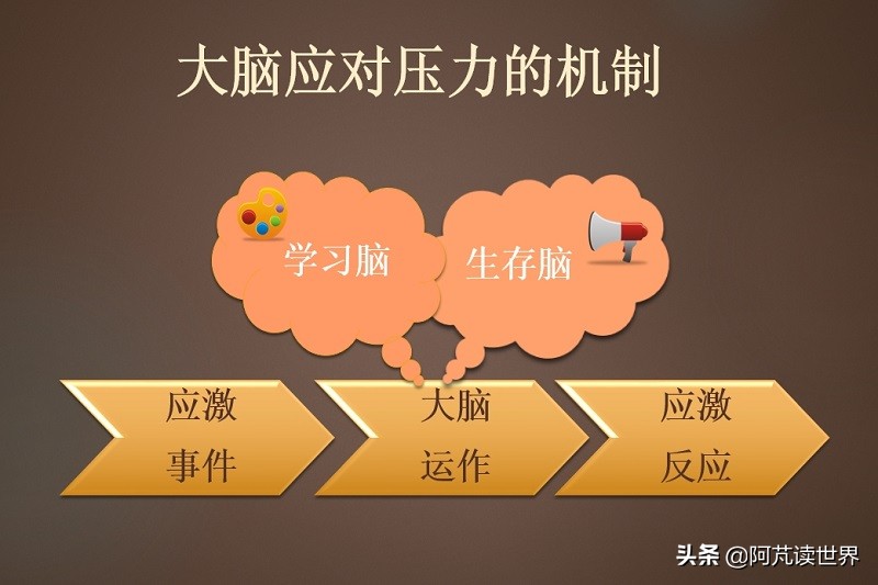 压力的科学管理,科学压力管理方法