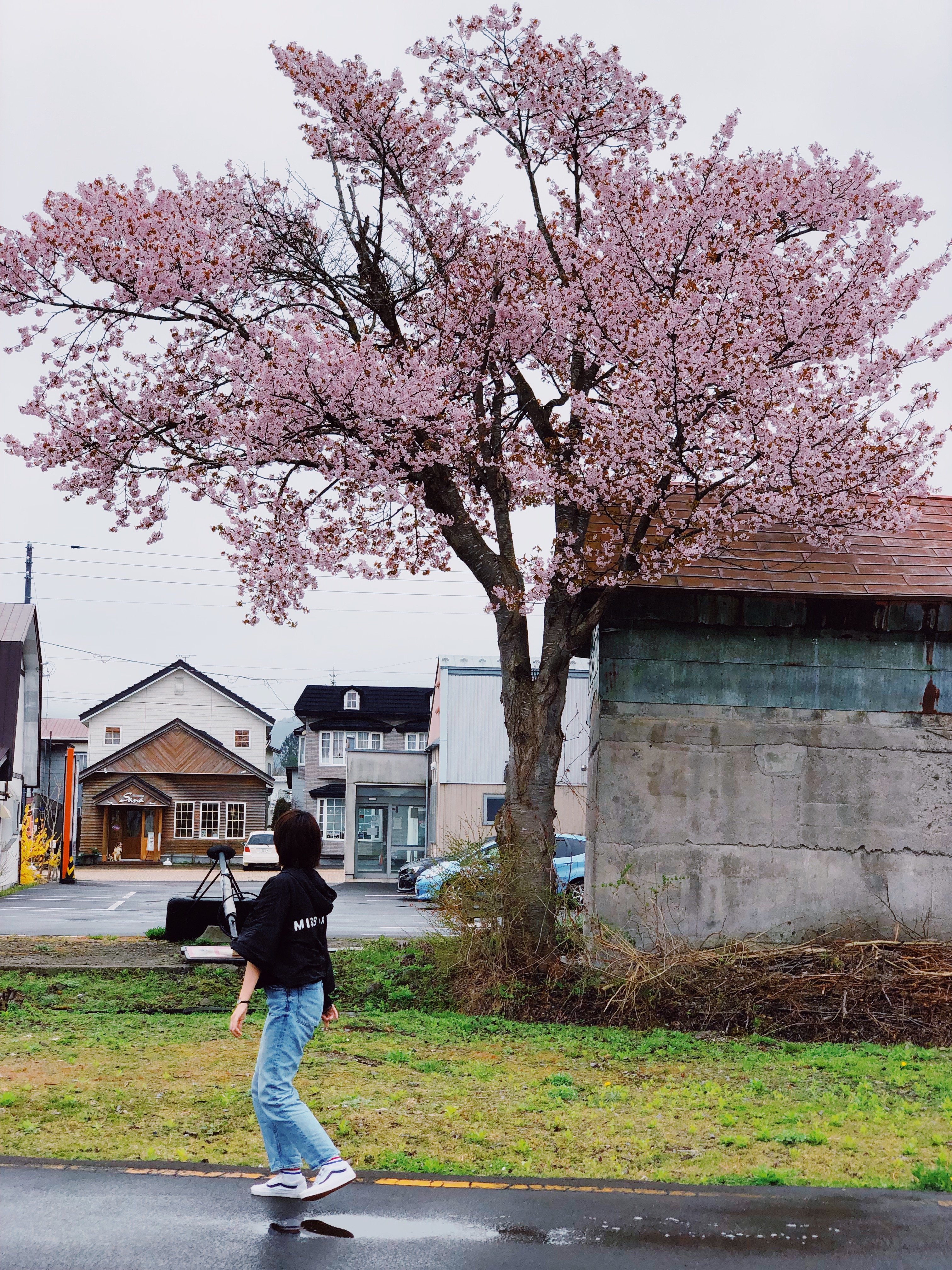 游轮7天6夜豪华游,和老人一起玩的游轮