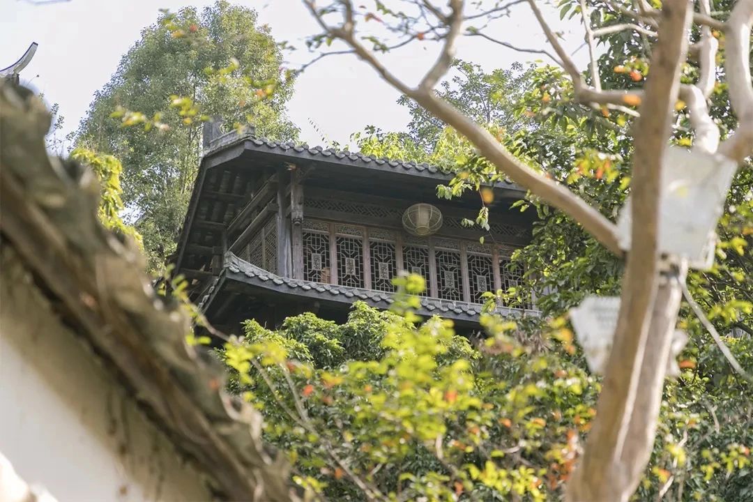 深圳周末带孩子免费游玩好去处,2021深圳免费适合遛娃玩地方排名