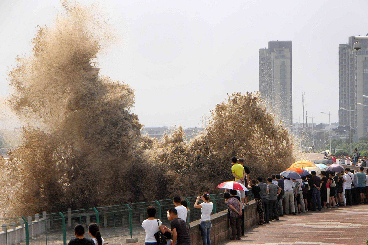 嘉兴旅游攻略自由行推荐,嘉兴乌镇旅游线路推荐