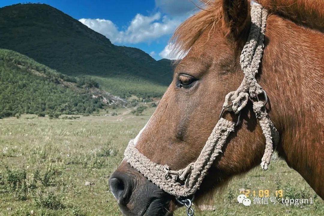 9月假期,9月很忙的句子