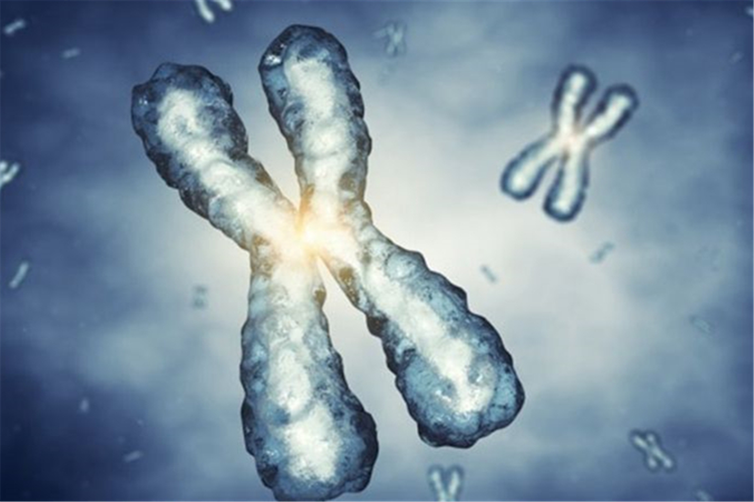 nt排畸检查是检查什么,什么是nt检查要憋尿吗