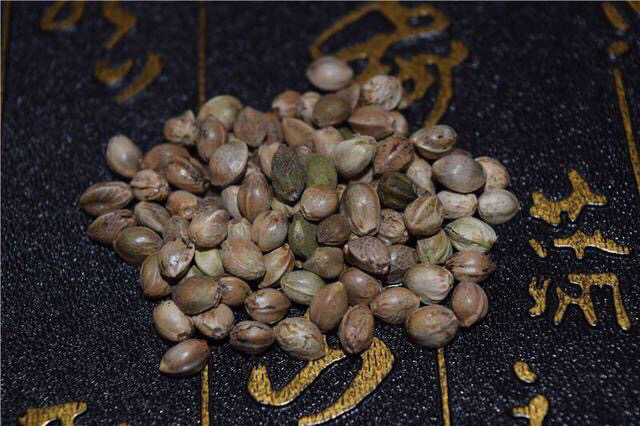 中药火麻仁是怎样的,中药材火麻仁