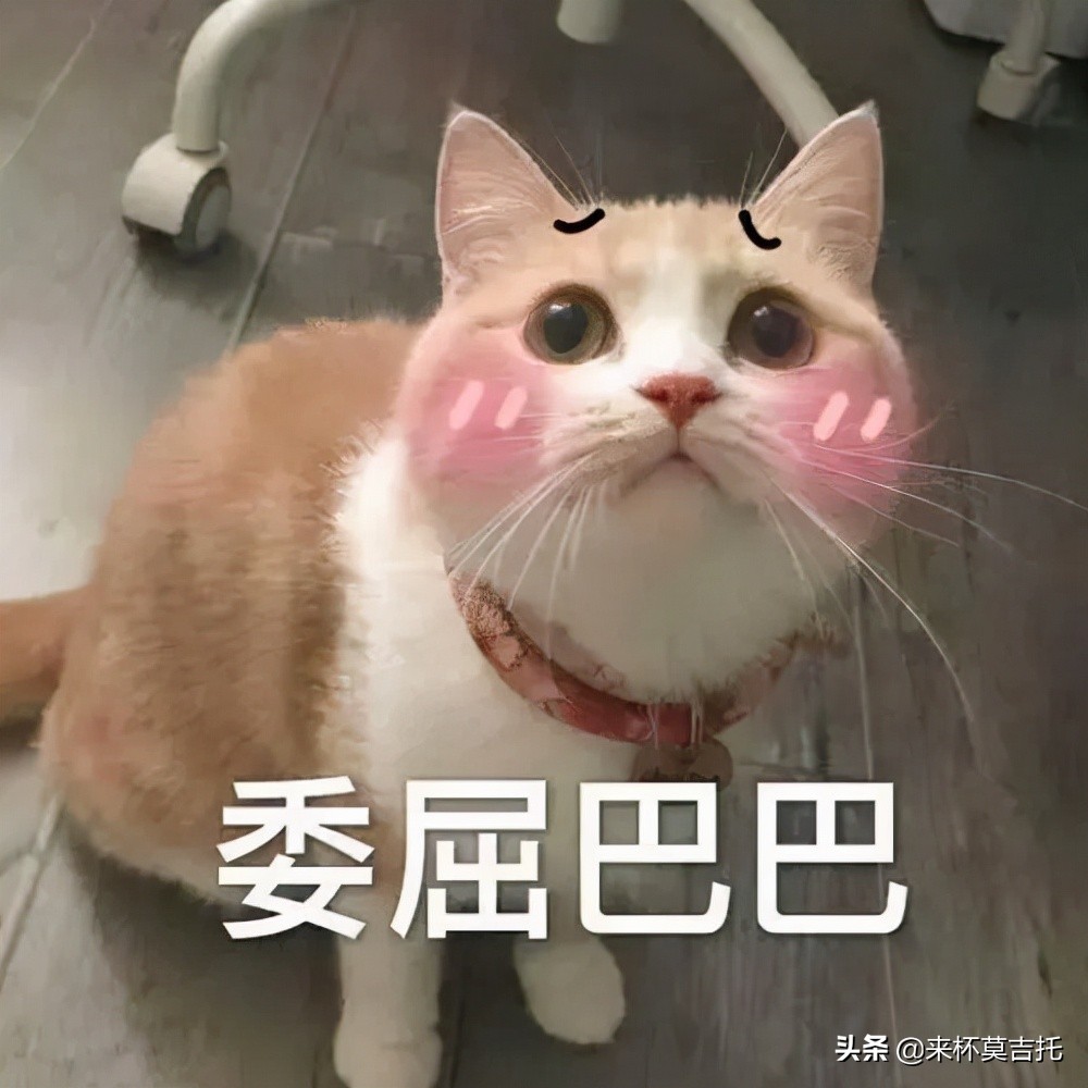 如何挑选一把适合自己的吉他,如何选一把适合自己的吉他