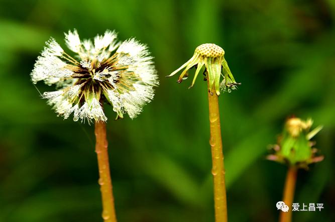 昌平游玩有山有水的地方推荐,昌平旅游攻略必去的地方
