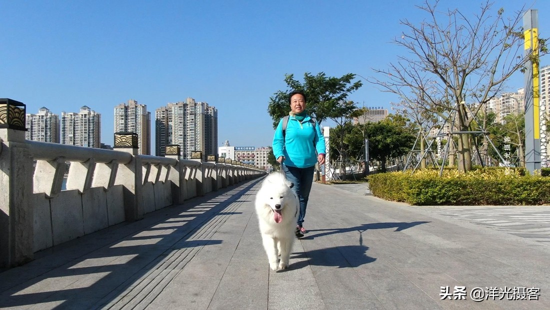 汕尾宜居宜业,汕尾宜居