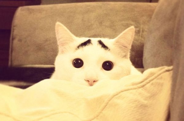 淘宝直播带货真的有那么多人买么,淘宝直播带货需要多少粉丝