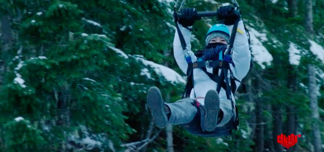 BC省的冬天，粘人精