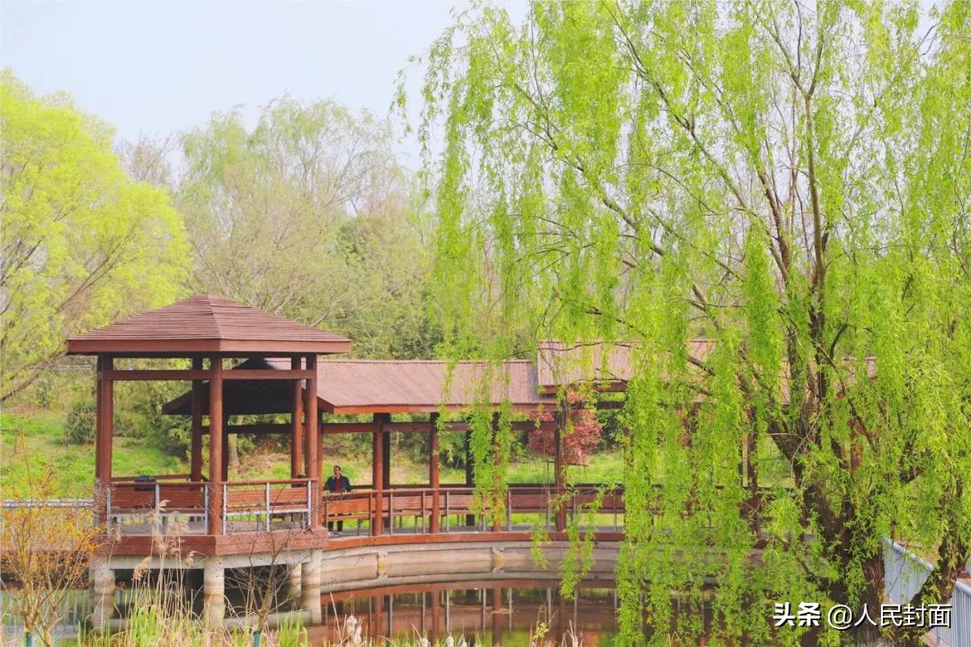 太湖骑行步道,无锡太湖骑行绿道