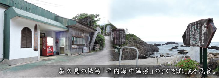 日本开民宿好还是开旅馆好,日本酒店式公寓和民宿的区别