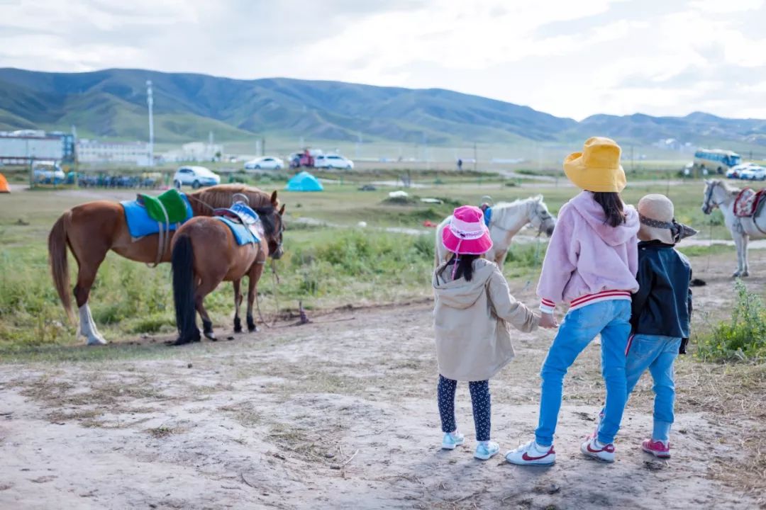 只要你面朝青海湖，八月依旧春暖花开