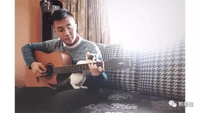 猫咪呕吐拉稀去医院治疗没有好转,猫咪呕吐不要着急