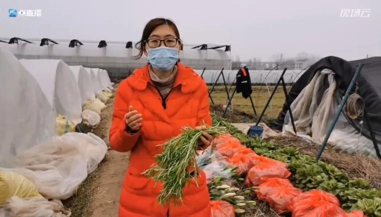 “县长、书记代言”模式火了，江苏新晋这样一批“带货达人”