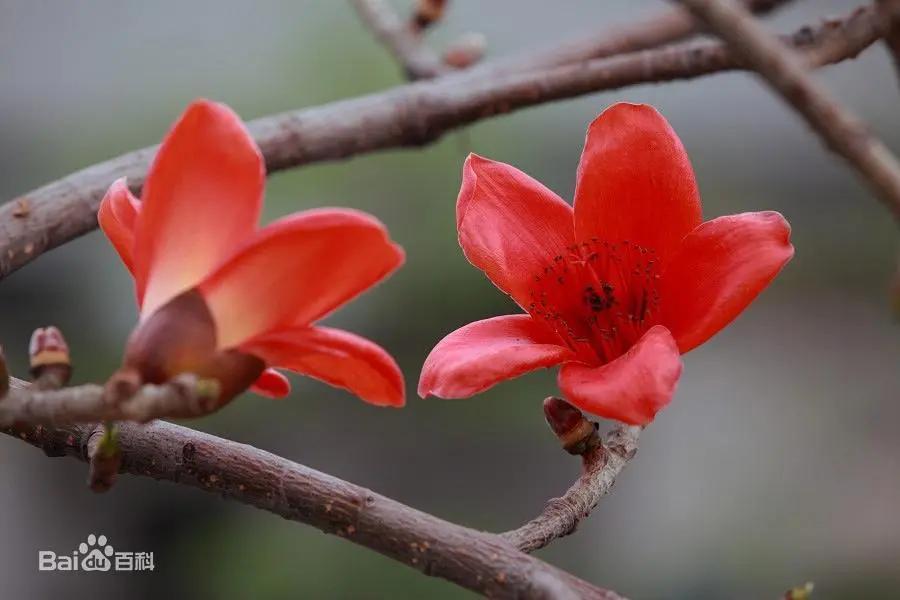 湿困症吃什么中成药,湿困怎么治