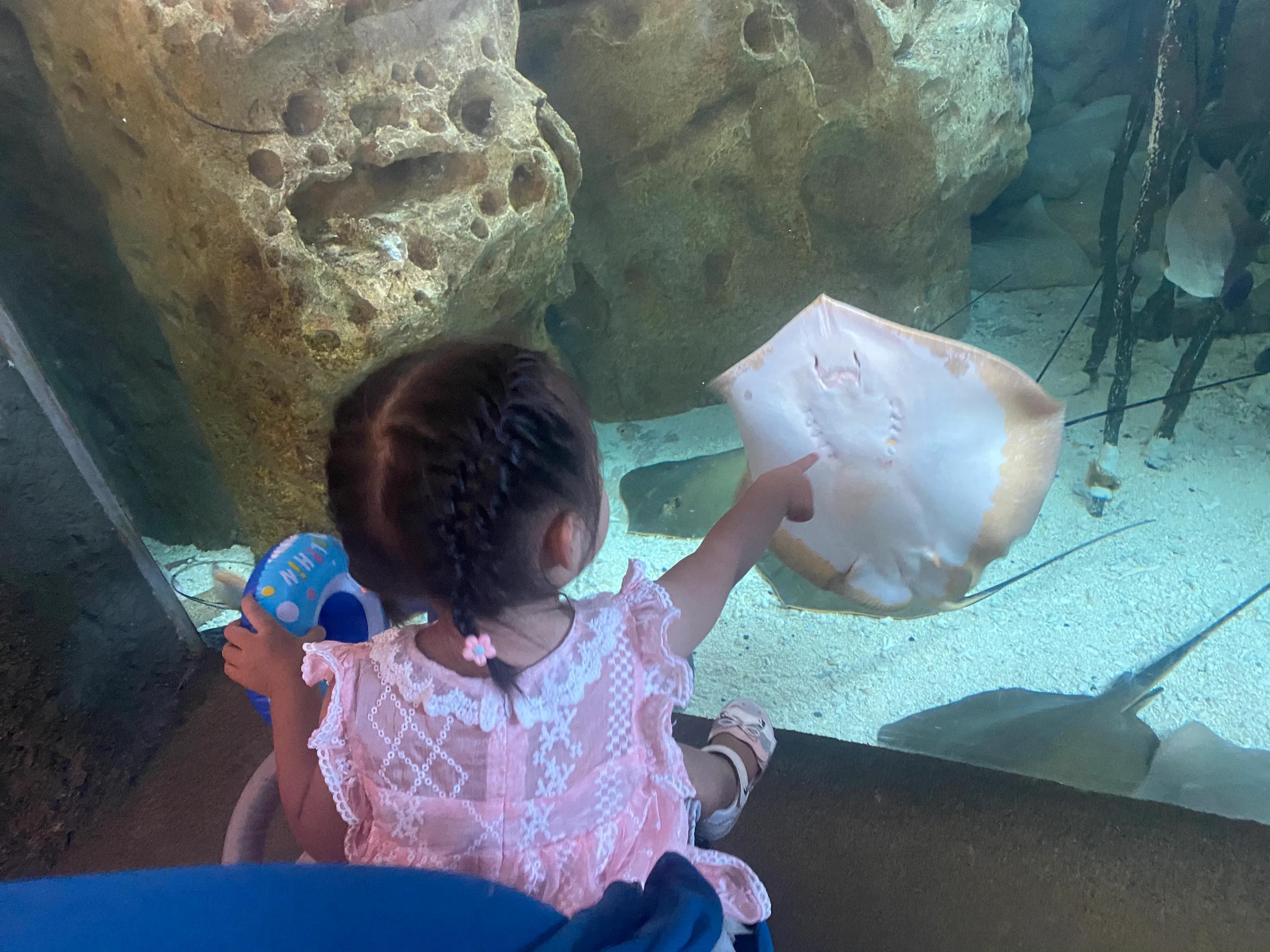 超详细珠海长隆海洋王国攻略,珠海长隆海洋王国攻略最新图片