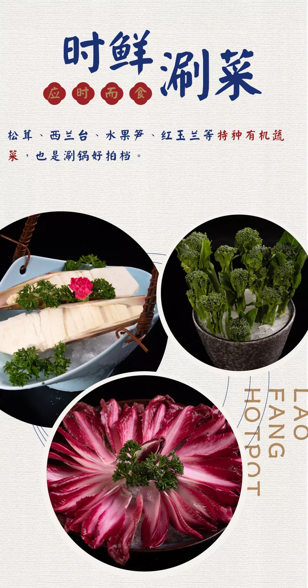 厦门港式花胶鸡火锅,港式花胶鸡锅