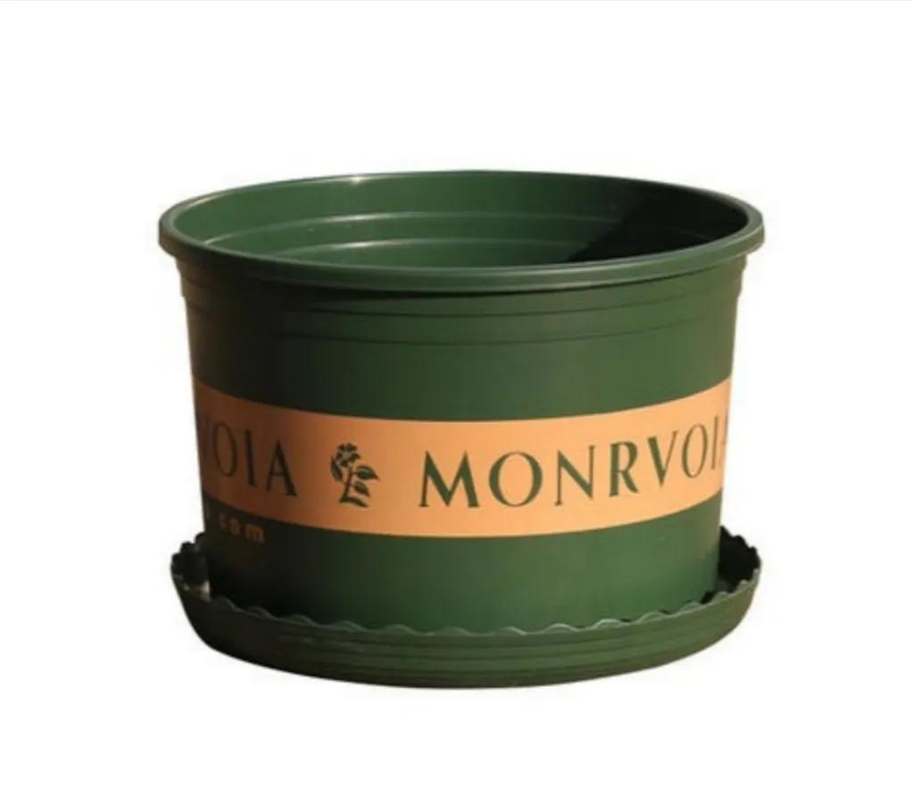 种球植物夏季处理,种球在土里发霉了怎么处理