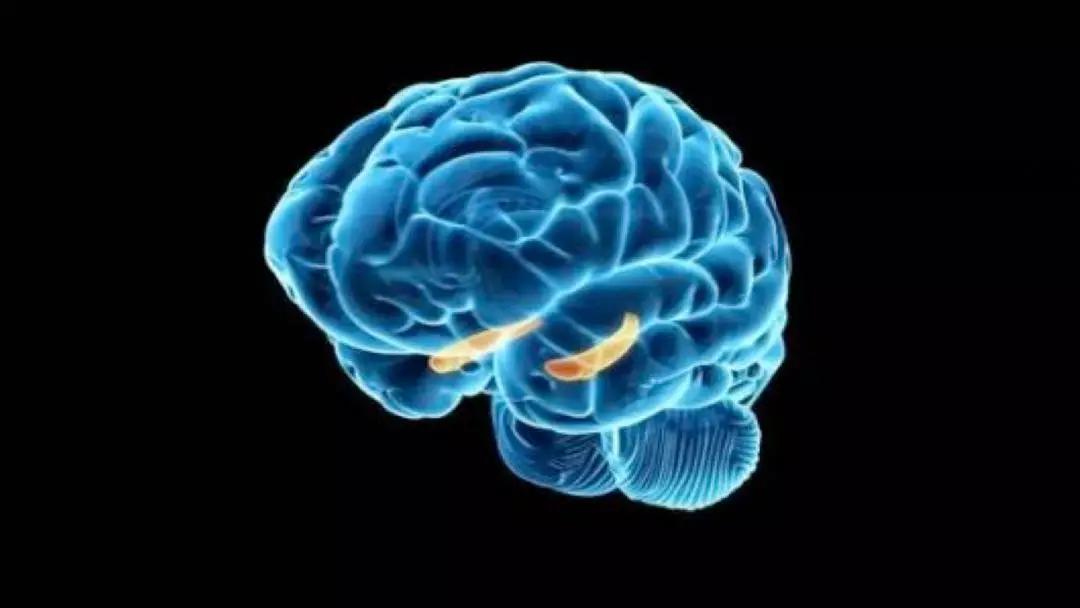 路痴是什么心理疾病,路痴是认知障碍吗