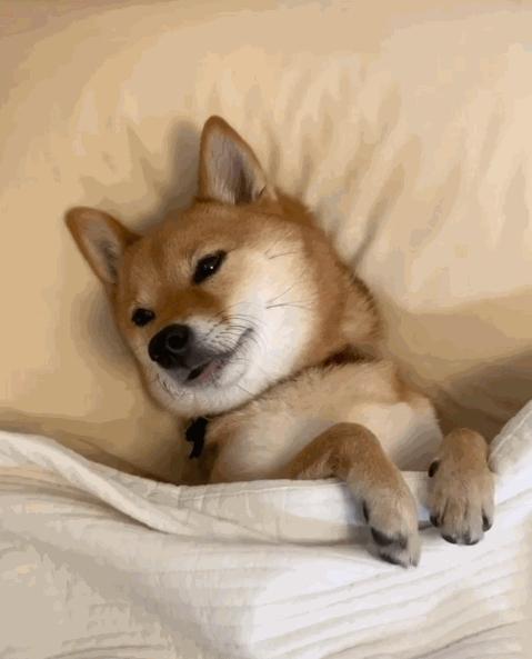 腰椎间盘突出微创要躺多久,腰椎间盘突出可以躺沙发吗