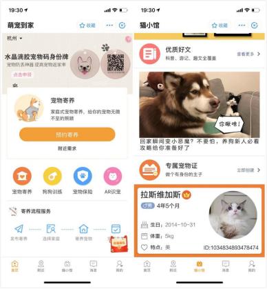 支付宝的宝藏功能 (支付宝收藏功能大全)