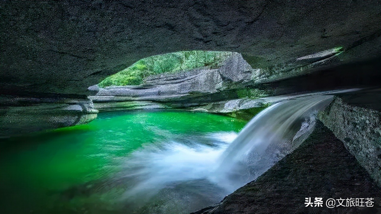 周末来一场与银杏的邂逅,周末与阳光撞个满怀