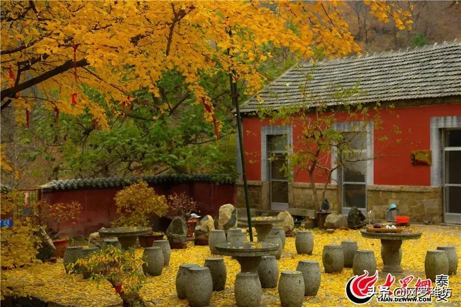 泰山风景区门票优惠到什么时候,泰山景区门票优惠政策介绍