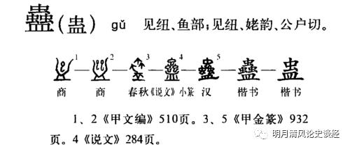 湘西蛊术之谜解密,湘西蛊术之谜大解密