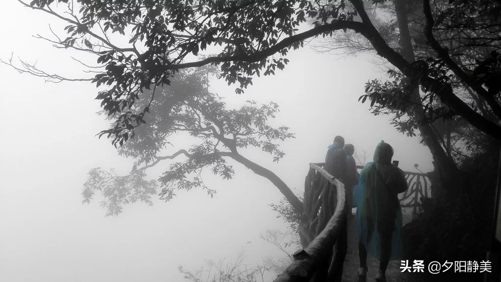 张家界天门山门票,张家界天门山一日游攻略省钱