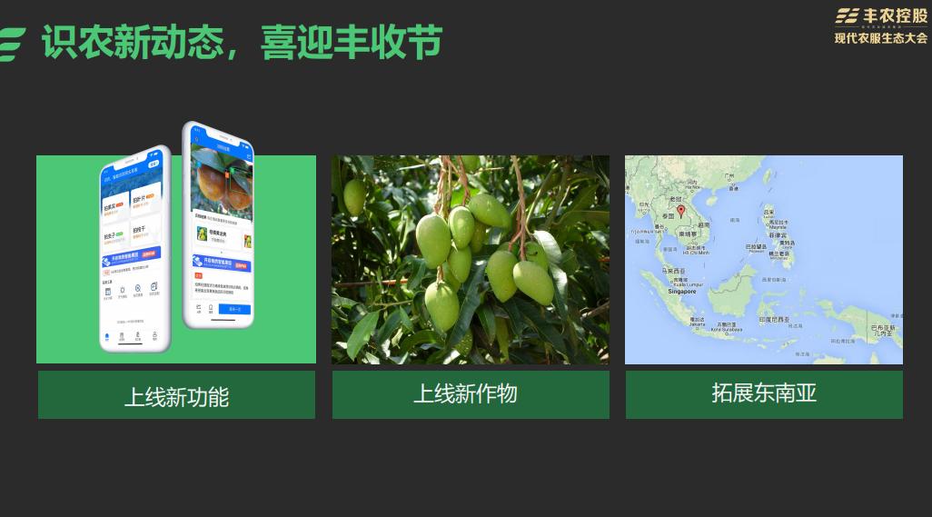 沉淀6年，赋能加速，丰农控股：构建农服行业独角兽公司