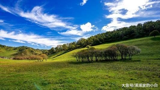 陕西省旅游景点大全关山牧场,西安宝鸡关山牧场旅游攻略