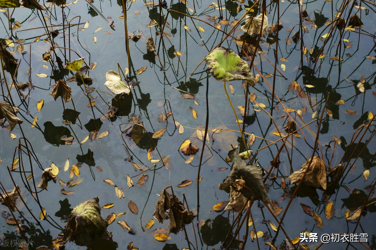 李商隐10首经典诗词鉴赏,李商隐最美的十首诗解读
