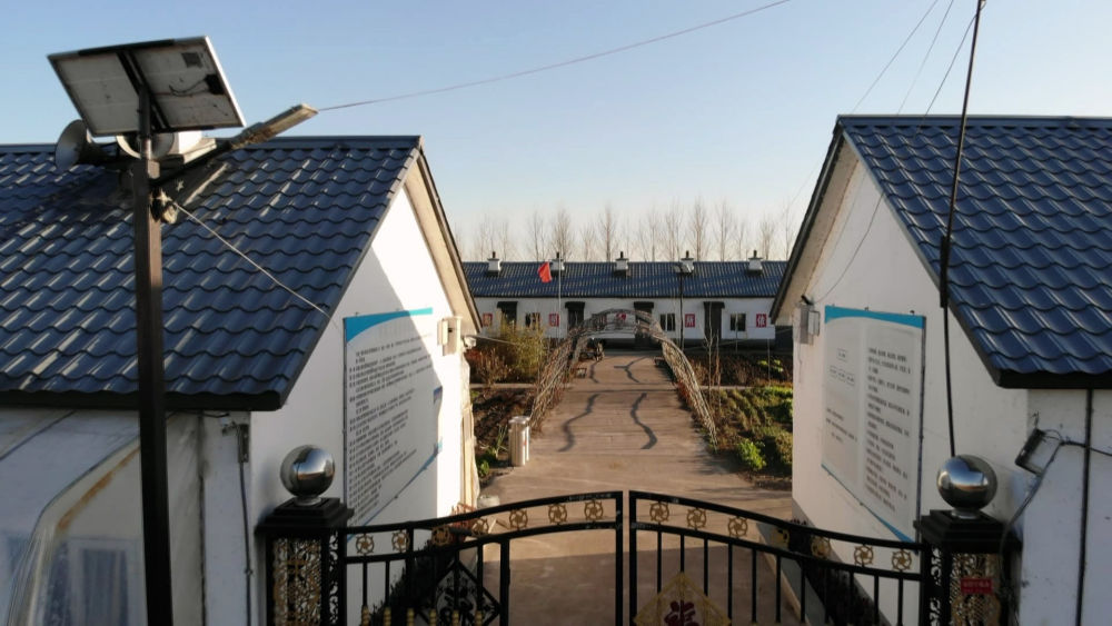 从村到镇广东乡村振兴开启新篇章,从暴风骤雨到山乡巨变