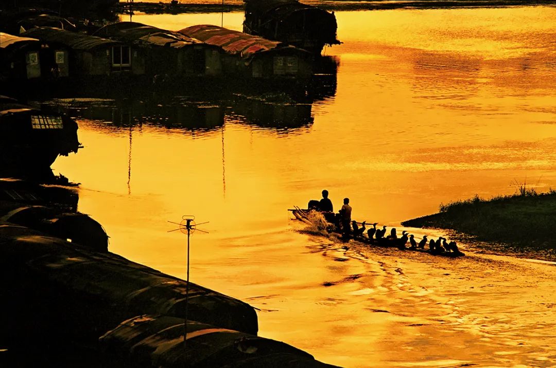 珠三角以西，漠*江阳**金三角茁壮生长