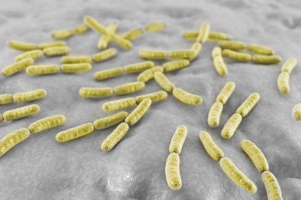 解码阴道微生物组