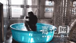 鍢夎兘鐜闆嗘垚,鍢夎兘鐜绉戞妧鏈夐檺鍏徃