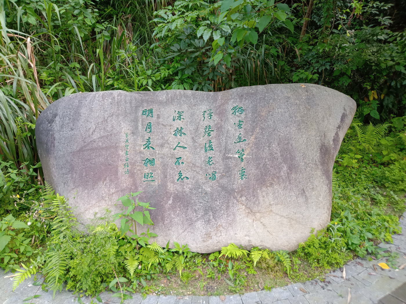 福州大学就像一座大公园，风景美到爆！最美的世界一流学科院校