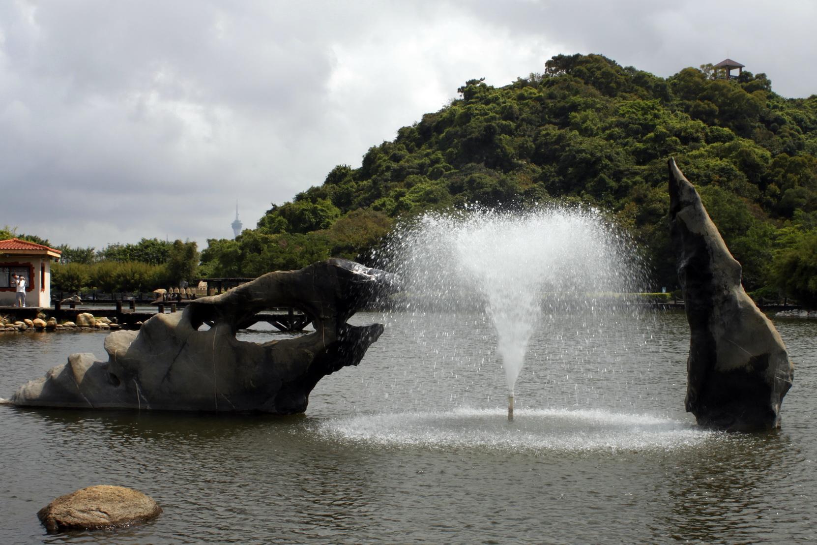 珠海石博园奇石在哪里,石博园精品奇石展示