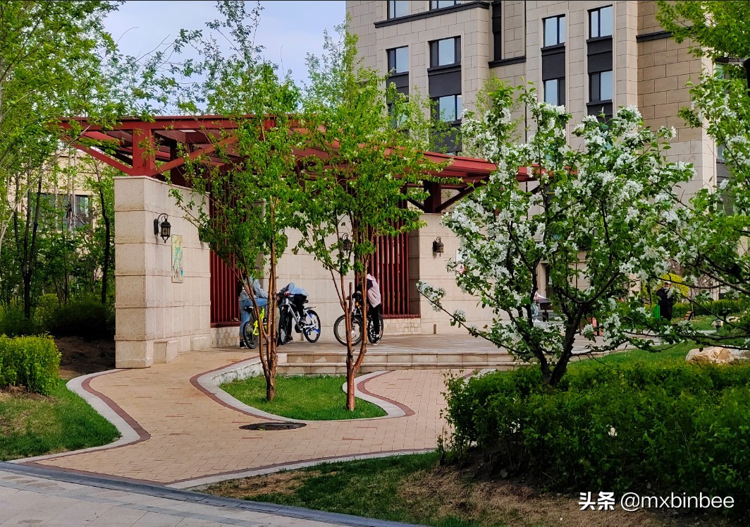 冉冉升起的明星们,哈尔滨金源蓝城效果图