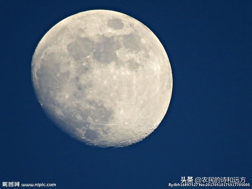 苏轼水调歌头中的婵娟是什么意思,苏轼写的一首古诗中的婵娟指什么