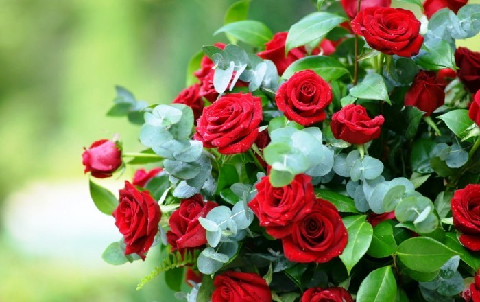 心灵鸡汤经典语录短句正能量,经典走心的心灵鸡汤语录句句精辟