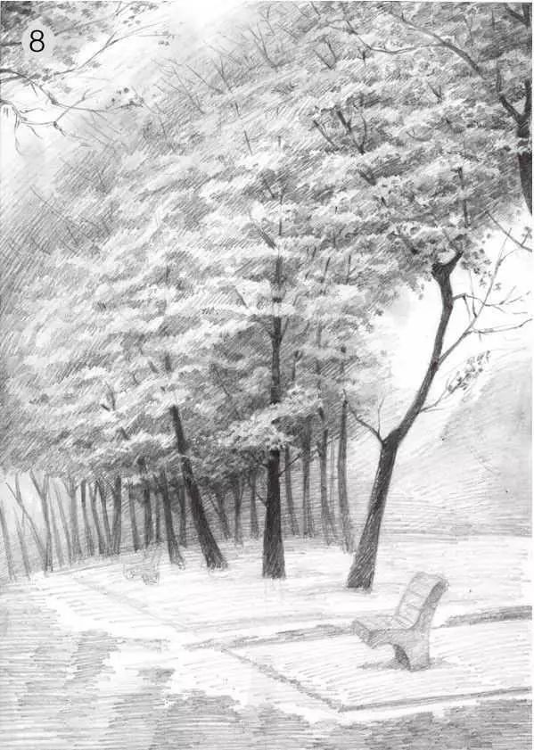 树林的画法简单又漂亮,如何画森林素描画教程