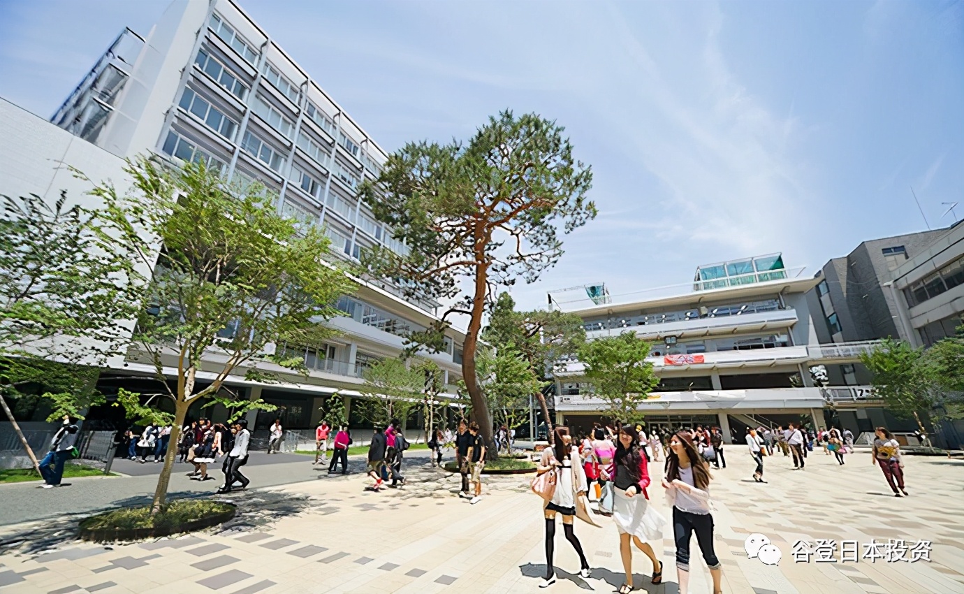 小谷的留学笔记,小谷日本