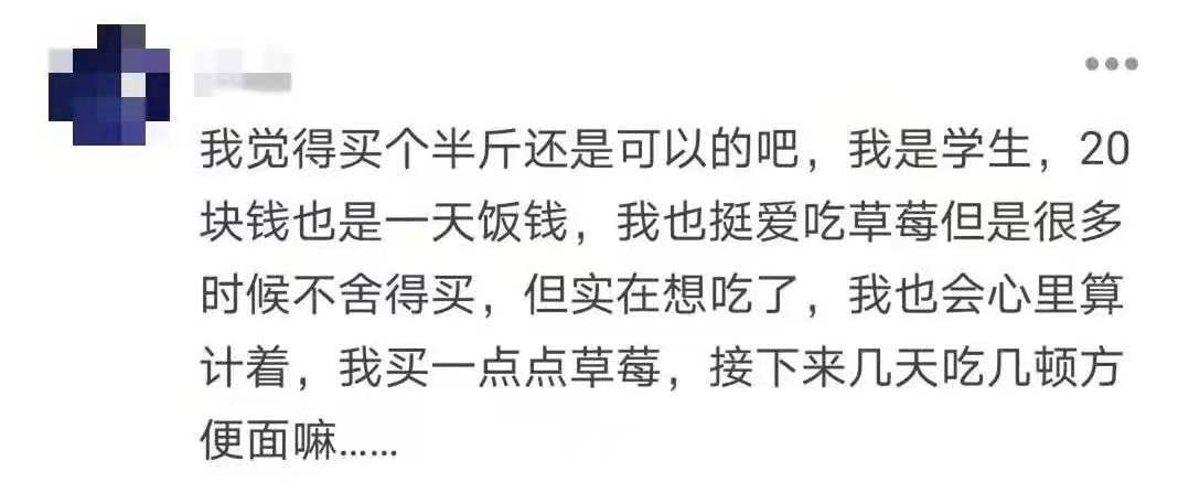 不给孩子吃草莓的原因就是太贵了,草莓不让孩子吃的四个理由