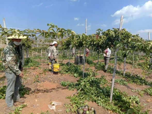 贫困户脱贫的几点思考,贫困户脱贫致富之路