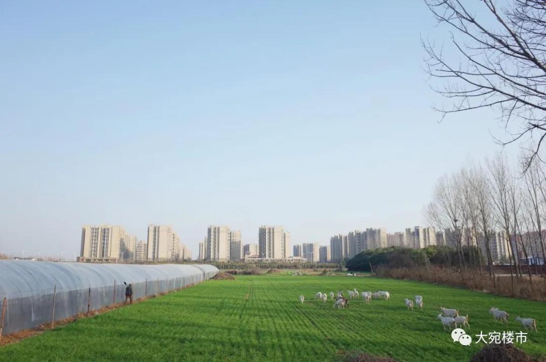 以人为本核心,以人为本的重要性