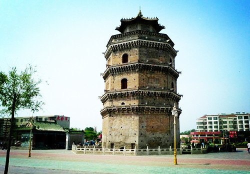 奇怪的古塔燕子----“严冬不南迁，有足不成行”