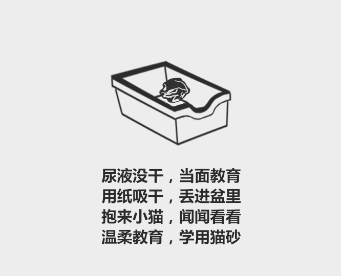 奶猫要多久可以用猫砂,小奶猫用哪种猫砂比较好