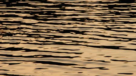 深圳旅游好去处推荐,深圳宝安区周末休闲浪漫好去处